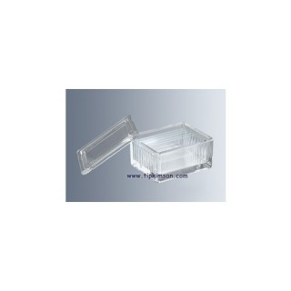 ŞALE - CAM - Yatık