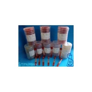 Koyun Kanlı Agar % 5/ EMB Agar (İkili Petri) - 10 Adetlik Paket