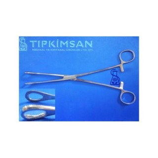 FORESTER PENSİ 24 cm